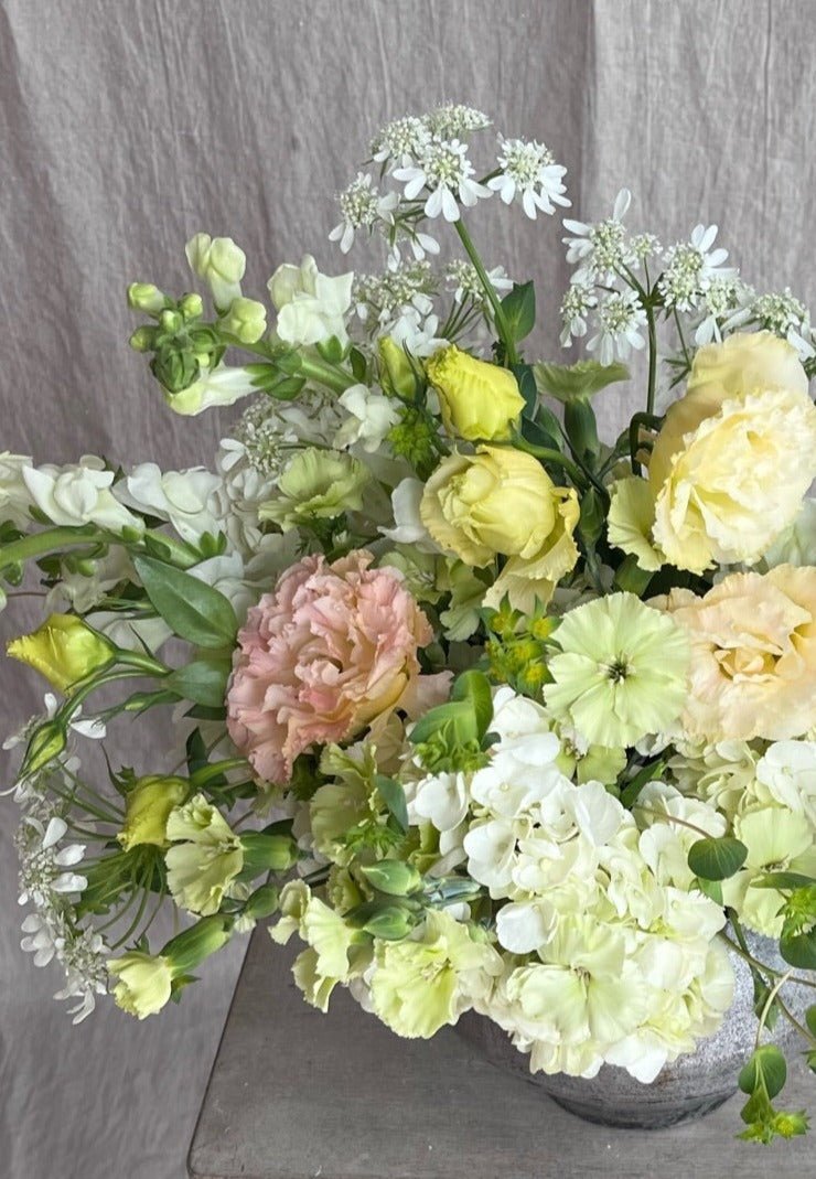 White Light Yellow Bouquet with Hydrangeas Scabiosas Queen Ann's Lace Carnations - Fine Art Florist